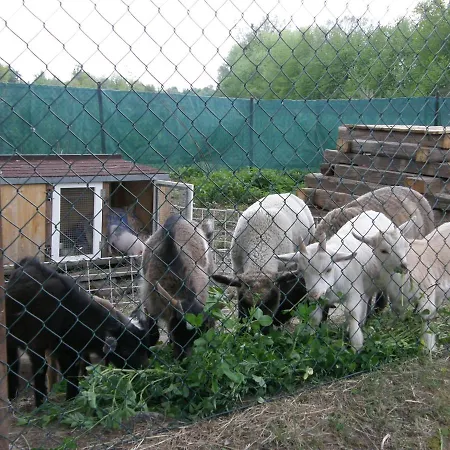 Rybarska Basta Sveceny - Restaurace, * Cerniny