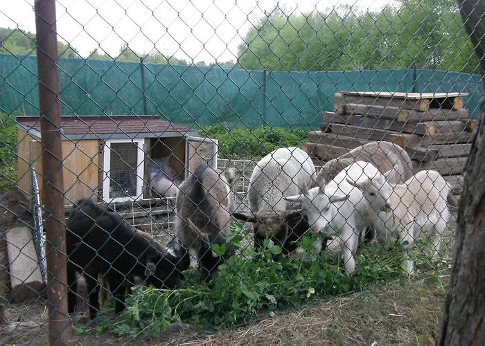 Rybarska Basta Sveceny - Restaurace, * Cerniny